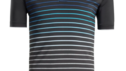 VARIEGATED RAGLAN STRIPE POLO